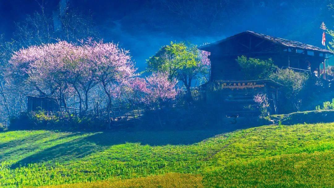 吉安市发布一批干部任前公示